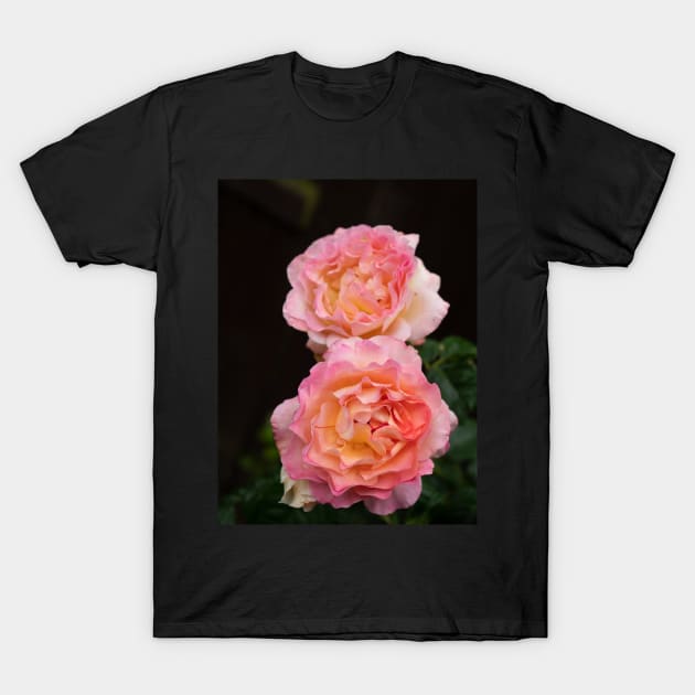 Pink rachel two rose flowers in bloom T-Shirt by fantastic-designs